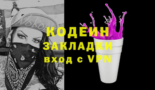 индика Козельск