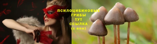 СК Никольское