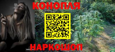 МДПВ Апрелевка