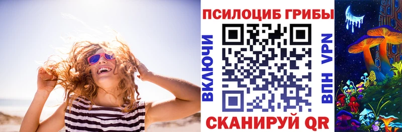 Галлюциногенные грибы Psilocybine cubensis  купить   Батайск 