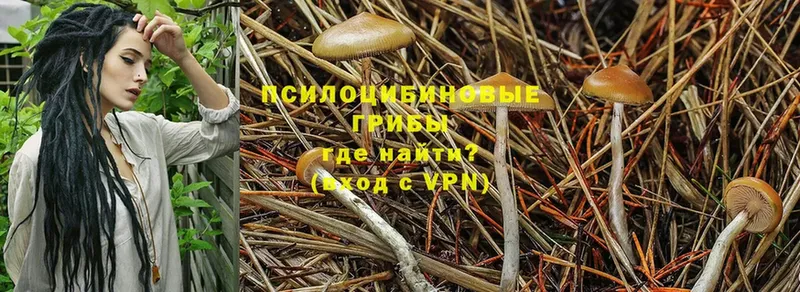 Галлюциногенные грибы MAGIC MUSHROOMS  Батайск 