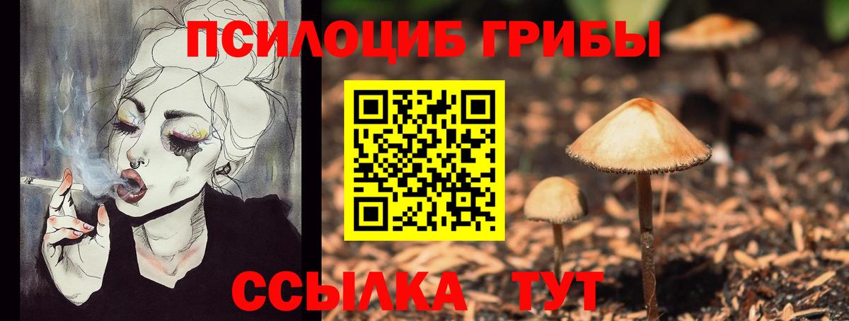Батайск  Псилоцибиновые грибы GOLDEN TEACHER  Вход с VPN  Галлюциногенные грибы Magic Shrooms 
