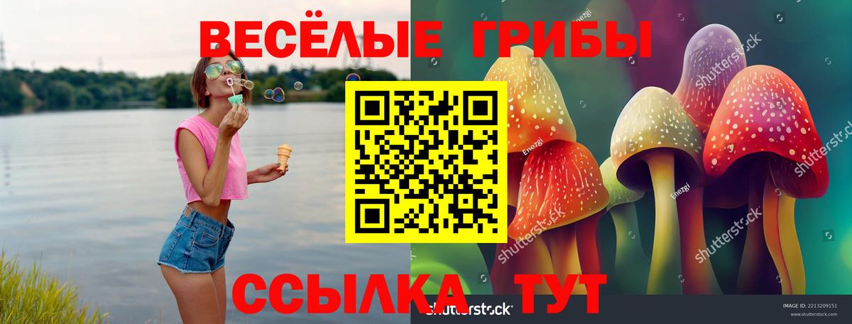 Псилоцибиновые грибы Magic Shrooms Батайск